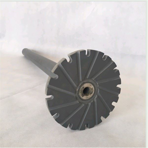 corrosion resistant rotor and shaft